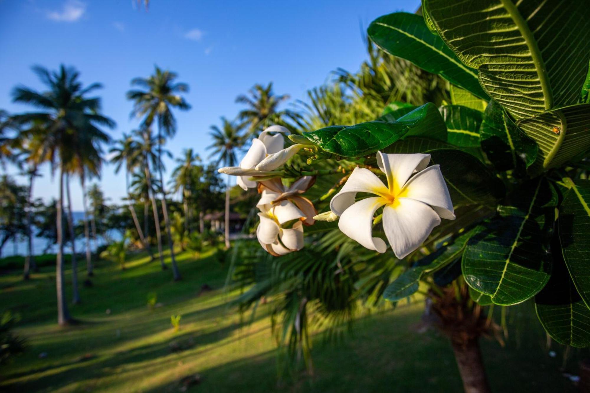 Ban Raya Resort And Spa Ko Racha Yai Екстериор снимка