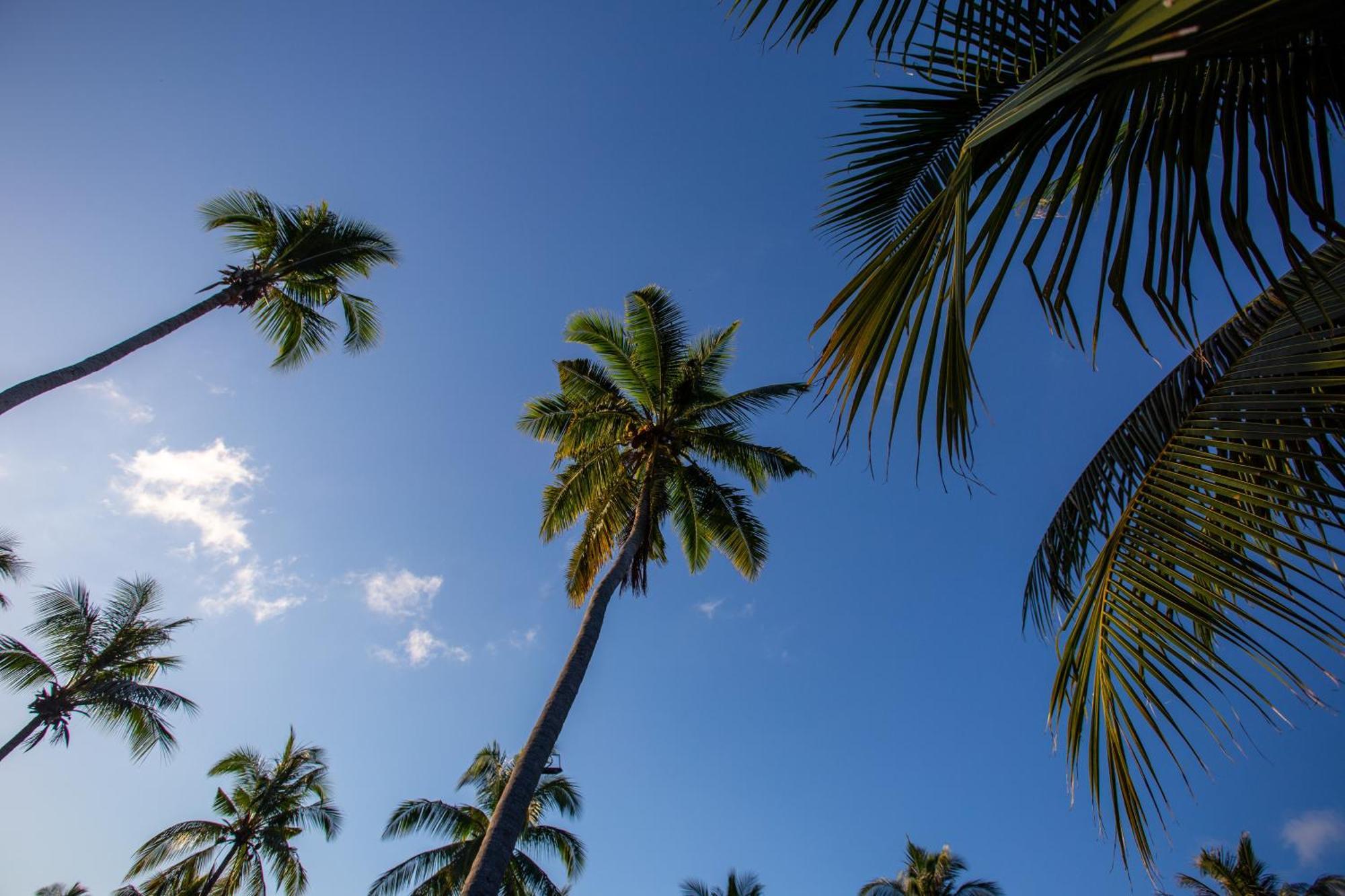 Ban Raya Resort And Spa Ko Racha Yai Екстериор снимка